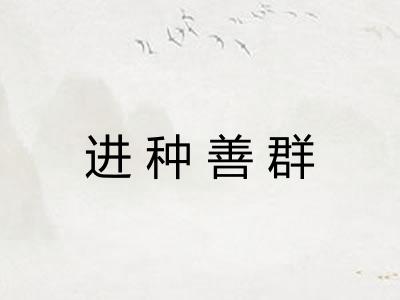 进种善群 进种善群