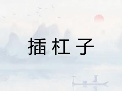 插杠子