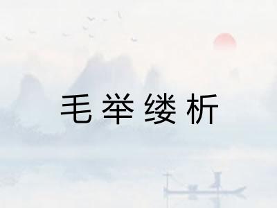 毛举缕析