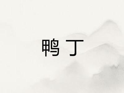 鸭丁
