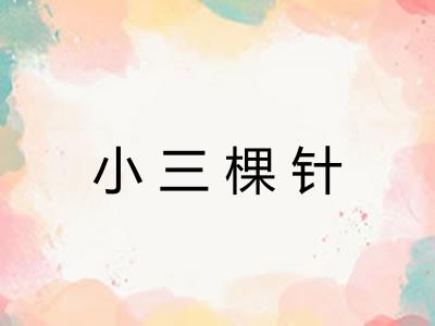 小三棵针
