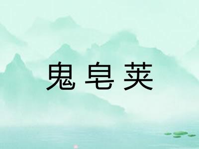 鬼皂荚