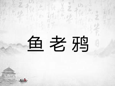 鱼老鸦