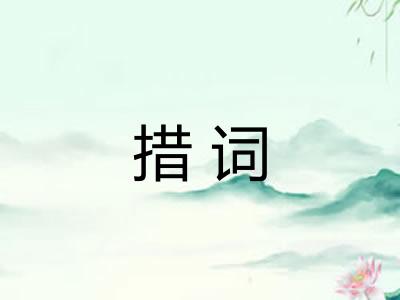 措词
