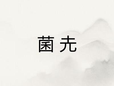 菌圥