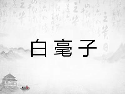 白毫子