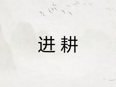 进耕