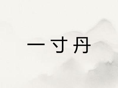 一寸丹