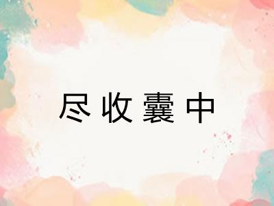 尽收囊中