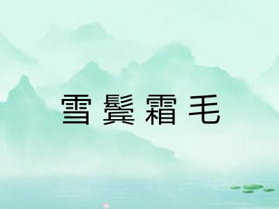 雪鬓霜毛