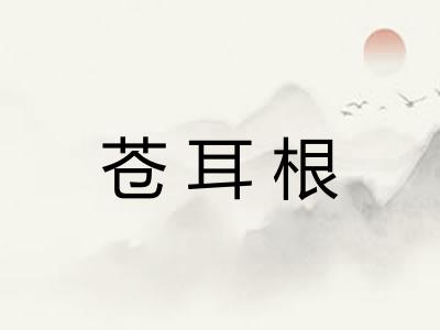 苍耳根