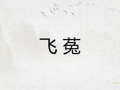 飞菟 飞菟