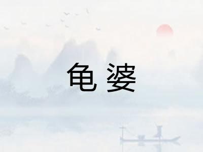龟婆