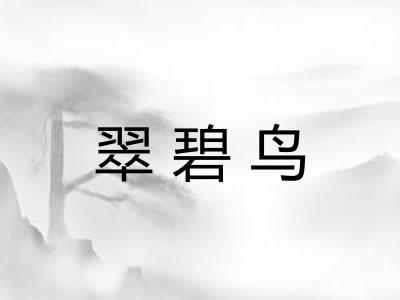 翠碧鸟