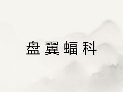 盘翼蝠科 盘翼蝠科