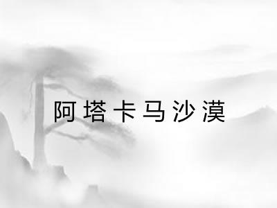 阿塔卡马沙漠 阿塔卡马沙漠