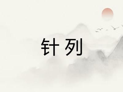 针列