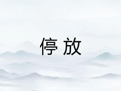 停放