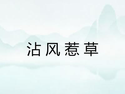 沾风惹草