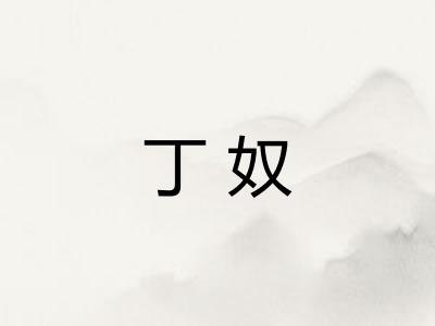 丁奴