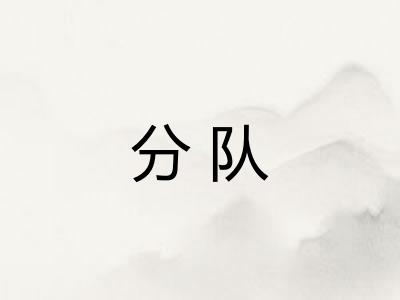 分队