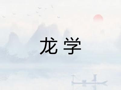 龙学