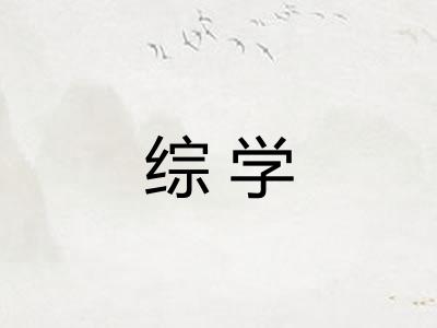 综学 综学