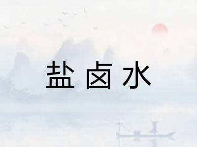 盐卤水 盐卤水