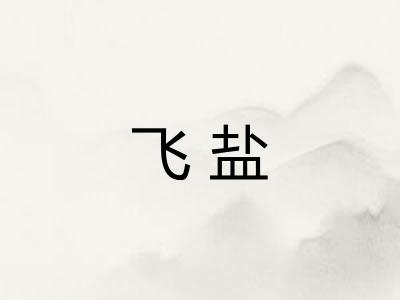 飞盐