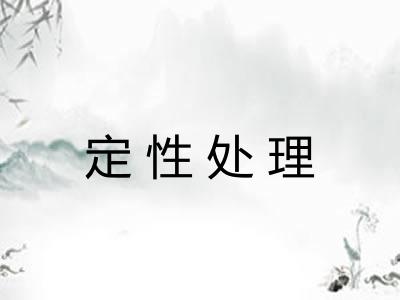 定性处理