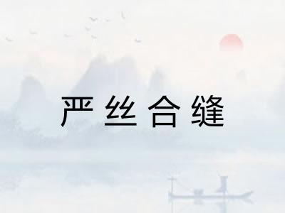 严丝合缝 严丝合缝