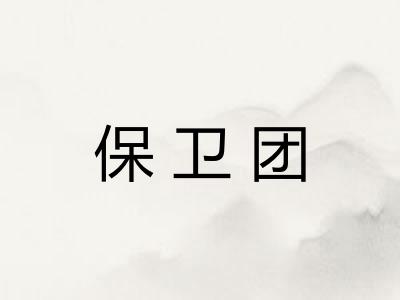 保卫团 保卫团