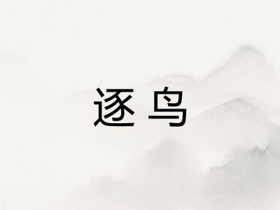 逐鸟 逐鸟