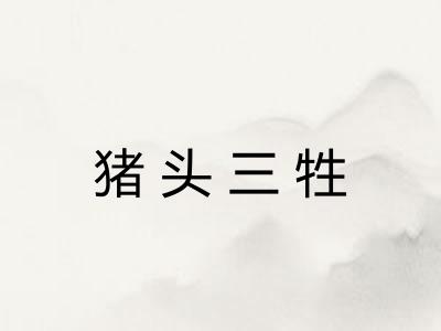 猪头三牲 猪头三牲