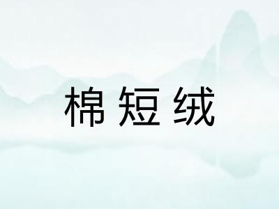 棉短绒