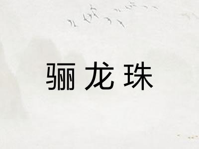 骊龙珠