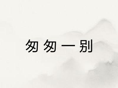 匆匆一别
