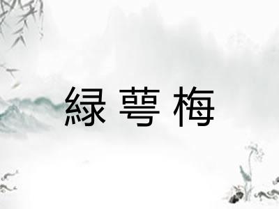 緑萼梅