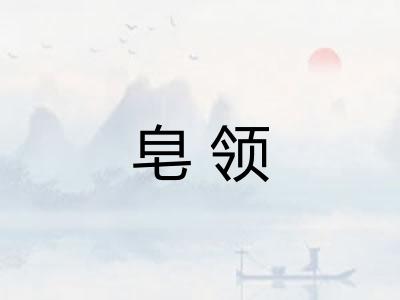 皂领