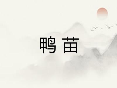鸭苗