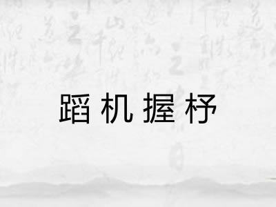 蹈机握杼
