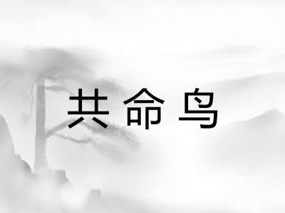 共命鸟 共命鸟