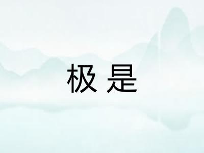 极是 极是
