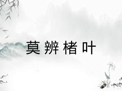 莫辨楮叶