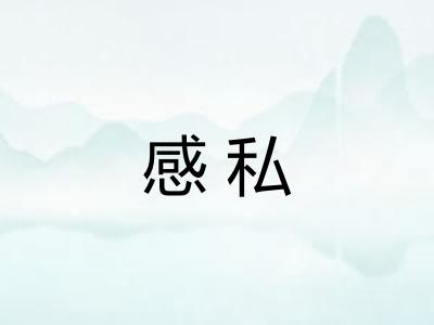 感私