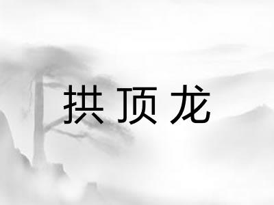 拱顶龙