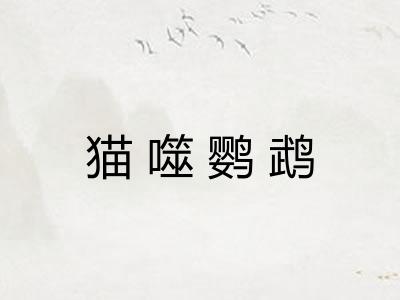 猫噬鹦鹉