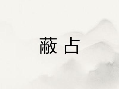 蔽占