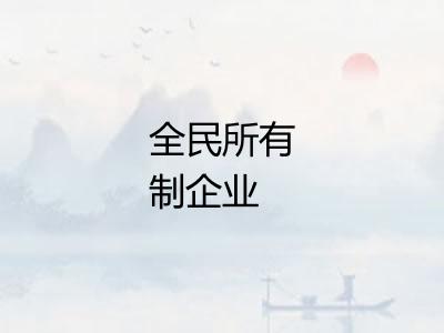 全民所有制企业 全民所有制企业