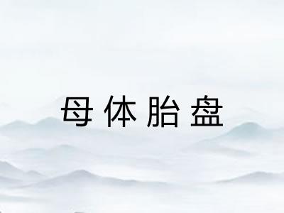母体胎盘 母体胎盘
